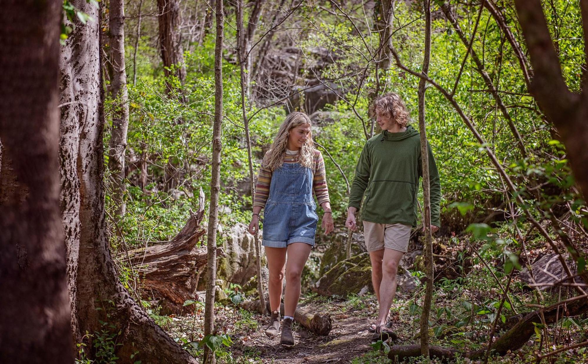 Meg Cabin Tiny Rustic Comfort On Lookout Mtn Chattanooga Buitenkant foto